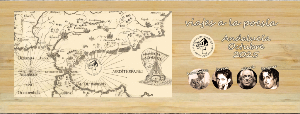 viajes banner